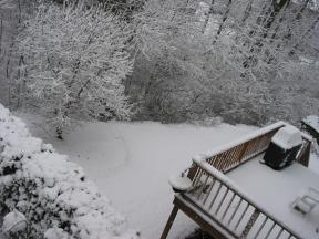 Click to enlarge: snow-covered lawn