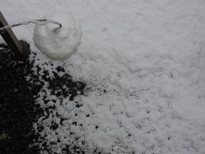Click to enlarge: snow-covered bird feeder, bird tracks